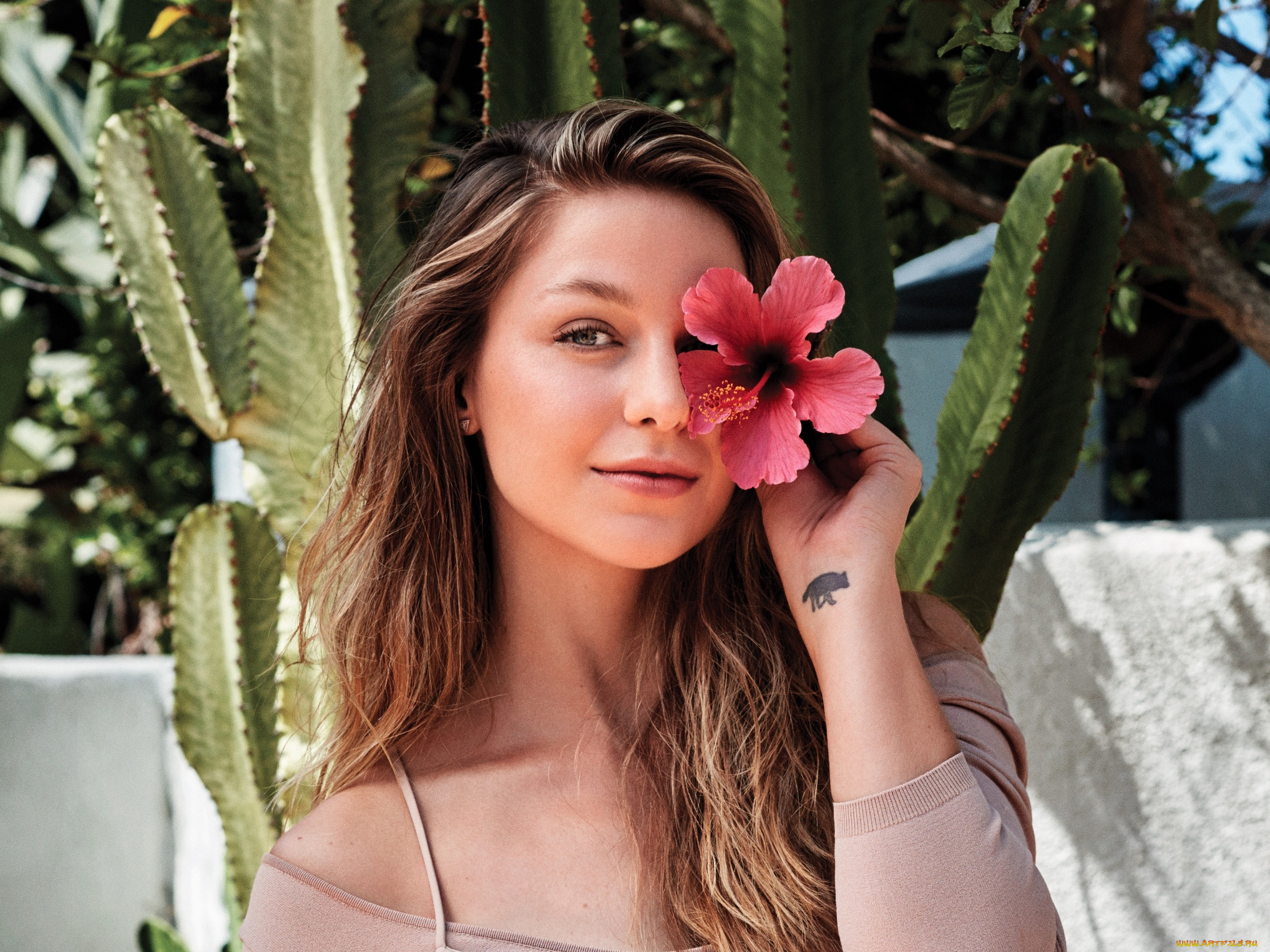 , melissa benoist, , , , , 